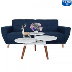 Bàn Sofa Gia Đình BBSF20