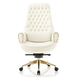 Ghế Nữ Giám Đốc Lady01DF