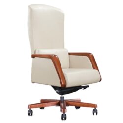 Ghế Nữ Giám Đốc Lady10DF