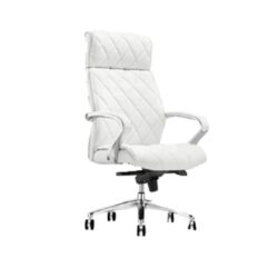 Ghế Nữ Giám Đốc Lady15DF