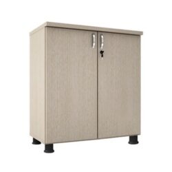 Tủ Tài Liệu Thấp SME6220