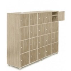 Tủ Để Giày TG20G