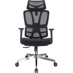 Ghế Công Thái Học GLE01